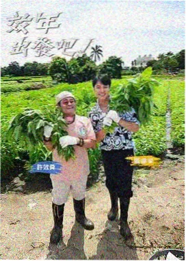 夫妻一起看的综艺 孤独的美食家 剧照
